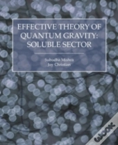 Effective Theory Of Quantum Gravity