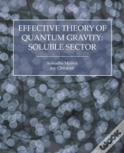 Capa do artigo Effective Theory Of Quantum Gravity