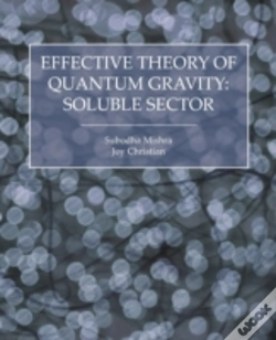 Capa do artigo Effective Theory Of Quantum Gravity
