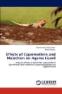Effects Of Cypermethrin And Malathion On Agama Lizard - Preview
