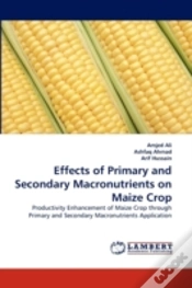 Capa do artigo Effects Of Primary And Secondary Macronutrients On Maize Crop