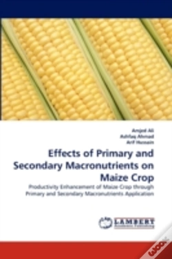 Capa do artigo Effects Of Primary And Secondary Macronutrients On Maize Crop