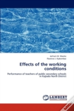 Capa do artigo Effects Of The Working Conditions