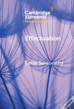 Capa do artigo Effectuation