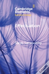 Effectuation