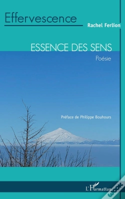 Capa do artigo Effervescence