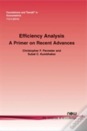 Capa do artigo Efficiency Analysis