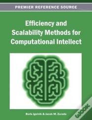Efficiency And Scalability Methods For Computational Intellect
