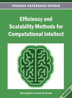Capa do artigo Efficiency And Scalability Methods For Computational Intellect