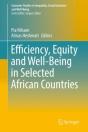 Efficiency, Equity And Well-Being In Selected African Countries - Preview