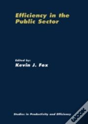 Efficiency In The Public Sector