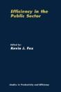 Efficiency In The Public Sector - Preview