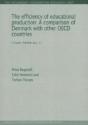 Efficiency Of Educational Production - Preview