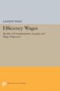Efficiency Wages - Preview