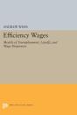 Efficiency Wages - Preview