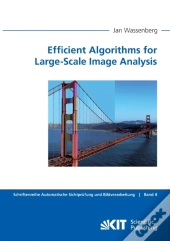 Efficient Algorithms For Large-Scale Image Analysis