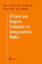 Efficient And Adaptive Estimation For Semiparametric Models - Preview
