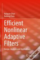 Efficient Nonlinear Adaptive Filters
