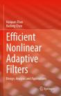 Efficient Nonlinear Adaptive Filters - Preview