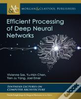 Efficient Processing Of Deep Neural Networks
