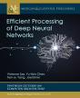 Efficient Processing Of Deep Neural Networks - Preview
