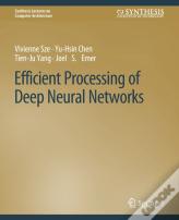 Efficient Processing Of Deep Neural Networks