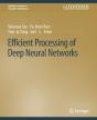 Efficient Processing Of Deep Neural Networks - Preview