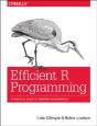 Efficient R Programming - Preview