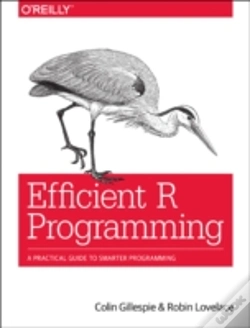 Capa do artigo Efficient R Programming