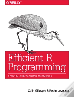 Capa do artigo Efficient R Programming