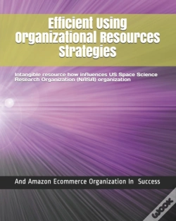 Capa do artigo Efficient Using Organizational Resources Strategies