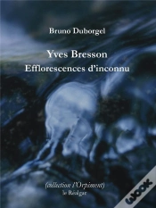 Capa do artigo Efflorescences D