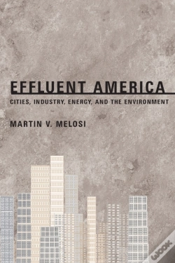 Capa do artigo Effluent America