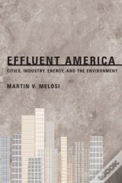 Capa do artigo Effluent America