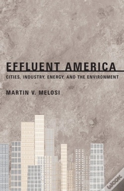 Capa do artigo Effluent America
