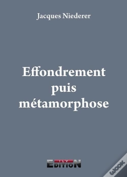 Capa do artigo Effondrement Puis Metamorphose
