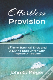 Capa do artigo Effortless Provision