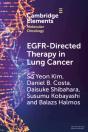 Egfr-Directed Therapy In Lung Cancer - Preview