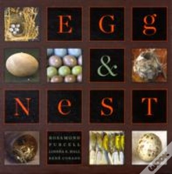 Capa do artigo Egg & Nest