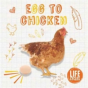 Egg To Chicken - Preview