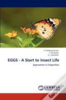 Eggs - A Start To Insect Life