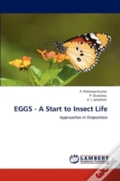Eggs - A Start To Insect Life