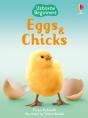 Eggs And Chicks - Preview