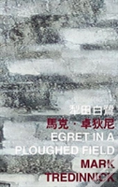 Egret In A Ploughed Field