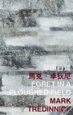 Capa do artigo Egret In A Ploughed Field