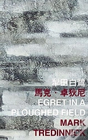 Capa do artigo Egret In A Ploughed Field