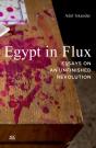 Egypt In Flux - Preview