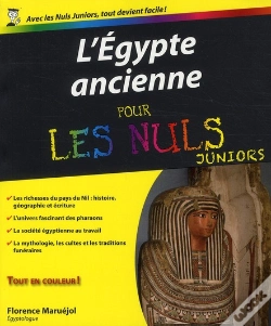 Capa do artigo Egypte Ancienne Pour Les Nuls Junior