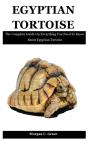 Egyptian Tortoise - Preview