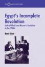 Egypt'S Incomplete Revolution - Preview